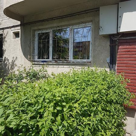 Apartamente Marian Brasov Room photo
